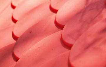 Burnden plastic roof costs